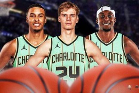 开云体育app -包含里程碑夜！夏洛特黄蜂绝杀压哨，欧超杯转会期刷纪录，话题不断，身体对抗强度拉满的词条