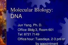 开云体育登录 -我的世界java8u101